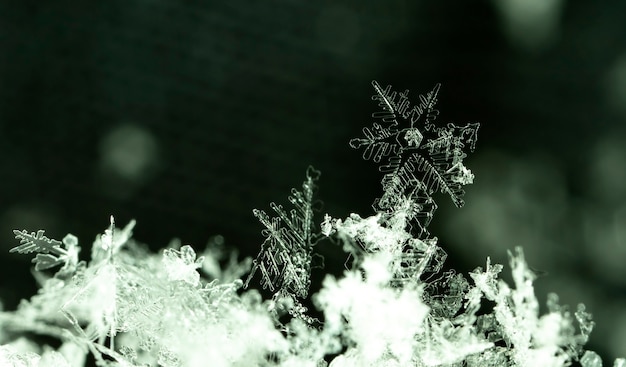 Schneeflocke auf natürlicher Schneewehe hautnah Weihnachten und Winter Hintergrund