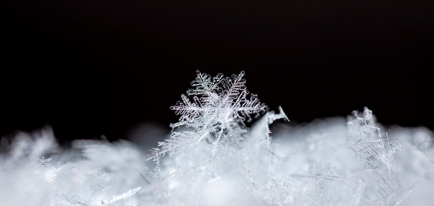 Schneeflocke auf natürlicher Schneewehe hautnah Weihnachten und Winter Hintergrund