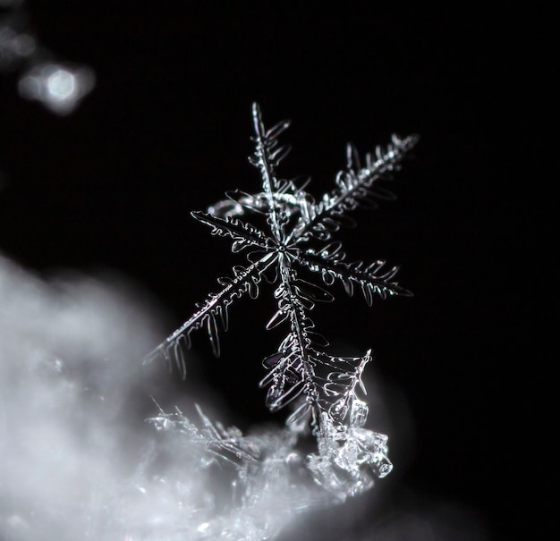 Schneeflocke auf natürlicher Schneewehe hautnah Weihnachten und Winter Hintergrund