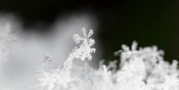 Schneeflocke auf natürlicher Schneewehe hautnah Weihnachten und Winter Hintergrund