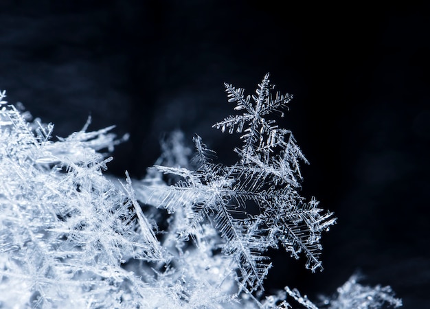 Schneeflocke auf Schnee, Schnee