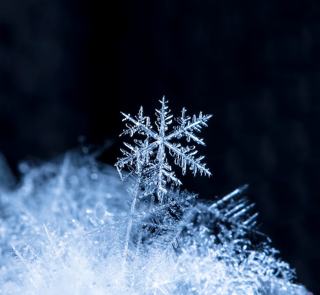 Schneeflocke auf Schnee, Schnee