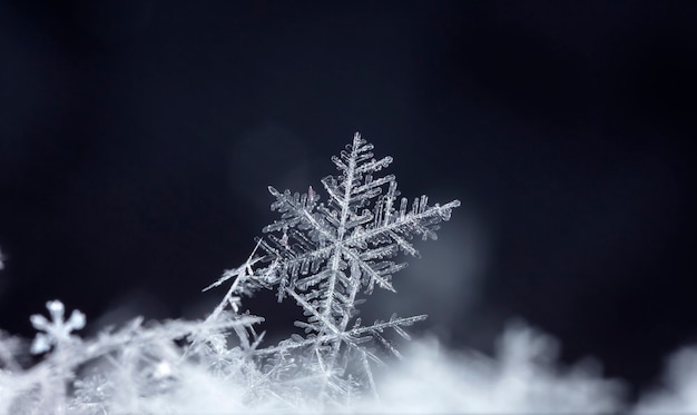 Schneeflocke auf Schnee Winterferien und Weihnachtshintergrund