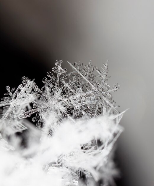 Foto schneeflocke auf schnee winterferien und weihnachtshintergrund