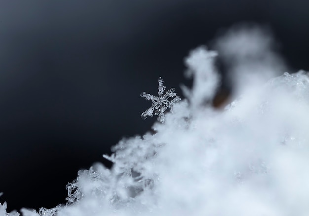 Schneeflocke auf Schnee. Winterferien und Weihnachtshintergrund