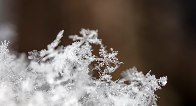 Schneeflocke auf Schnee Winterferien und Weihnachtshintergrund