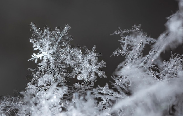 Schneeflocke, kleine Schneeflocke auf dem Schnee