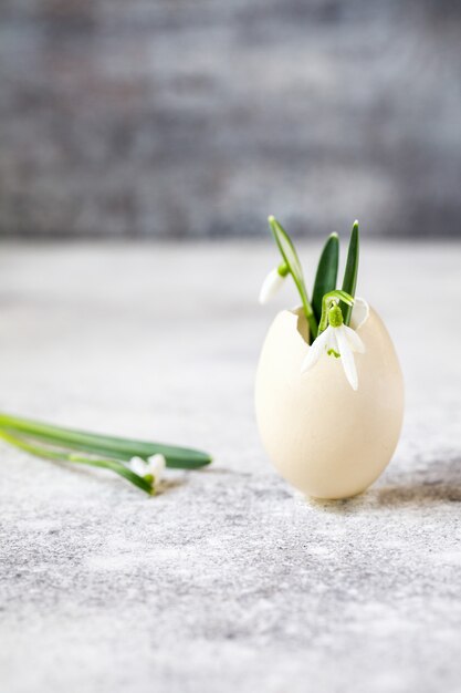 Schneeglöckchen in Eierschale. Die erste Blume ist ein Symbol des Frühlings.