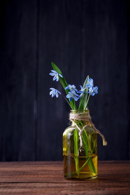 Schneeglöckchenblumen in einer Vase