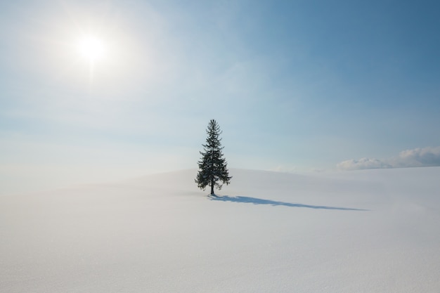 Schneehügel bei Biei, Hokkaido