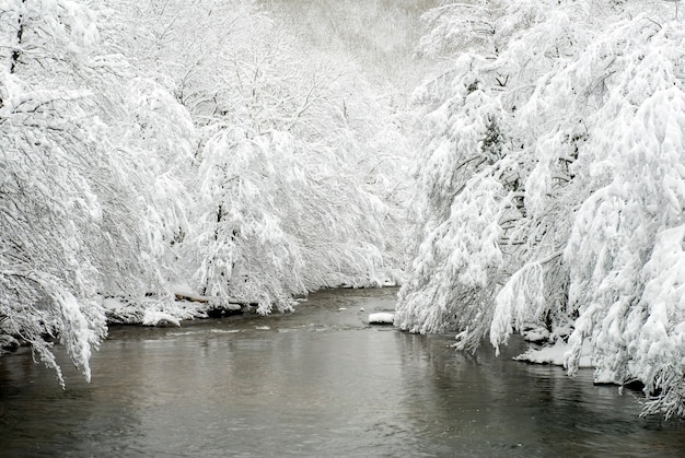 Schneelandschaft des Bayas Flusses.