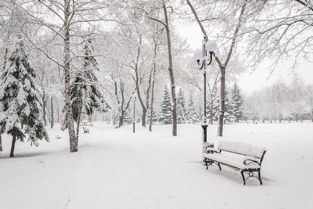 Schneelandschaft mit Bänken im Winterstadtpark