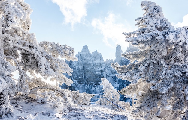 Schneelandschaft. Winterlandschaft auf einem Berggipfel. Bäume im Schnee. Berggipfel, blauer Himmel, Natur, Wintersonne. Berg Ai-Petri. Krim