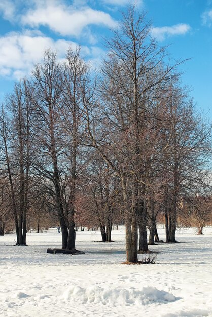 Schneelandschaftsbaum auftauen