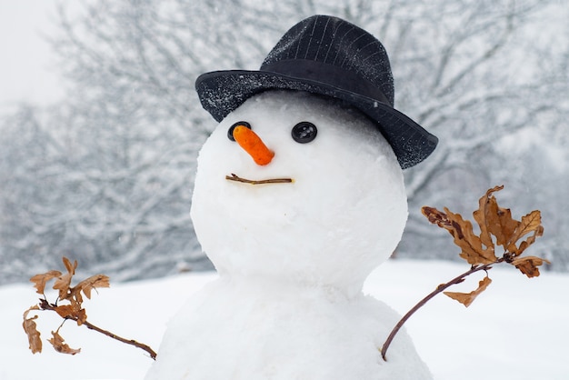 Foto schneemann am weihnachtstag mit wintermütze