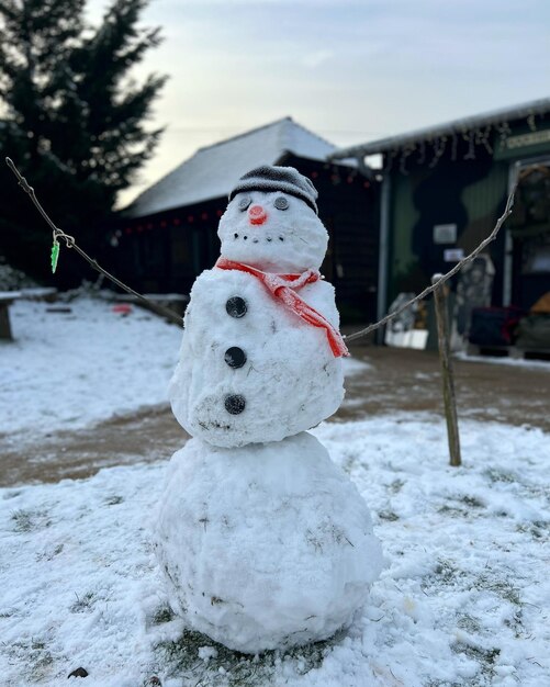 Schneemann betet für Schnee