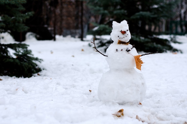 Schneemann mit Herbstlaub von Tannen. Eine horizontale Ansicht