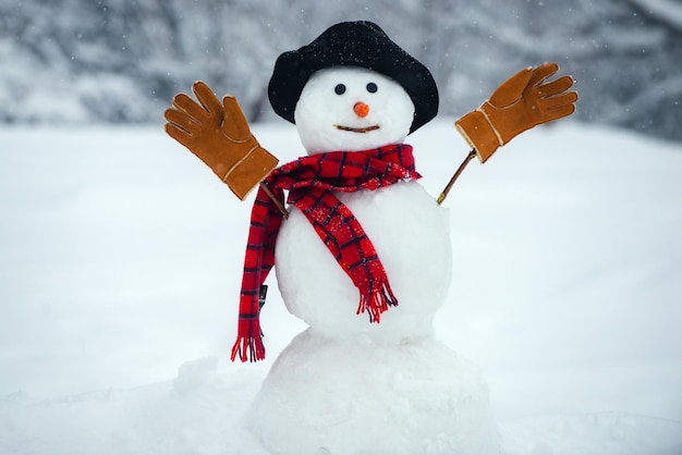 Schneemann mit Mütze und Schal im Winter im Freien der Schneemann trägt eine Pelzmütze und einen Schal Weihnachtsba...