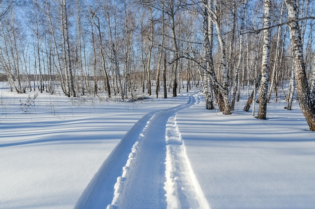 Schneemobilspuren im Schnee