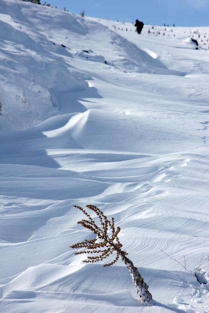 Schneeoberfläche