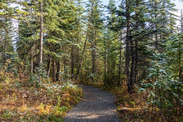 Schneepolizist Creek Riverside Trail