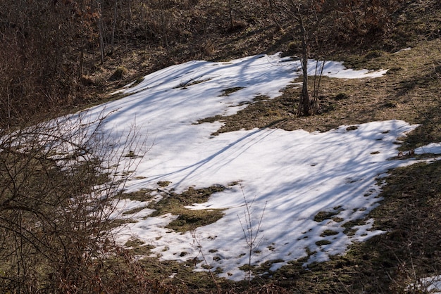 Schneeschmelze in einem Bergwald