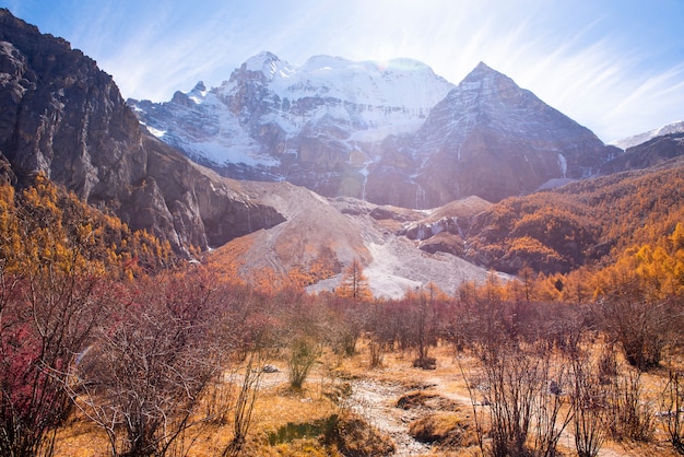 Schneespitze der schönen Ansicht mit Herbstlaub in yading Naturreservat, Sichuan, China.