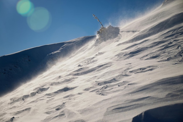 Schneestruktur Starker Wind in den Karpaten im Winter an einem sonnigen Tag Wind formte Muster auf der Schneeoberfläche