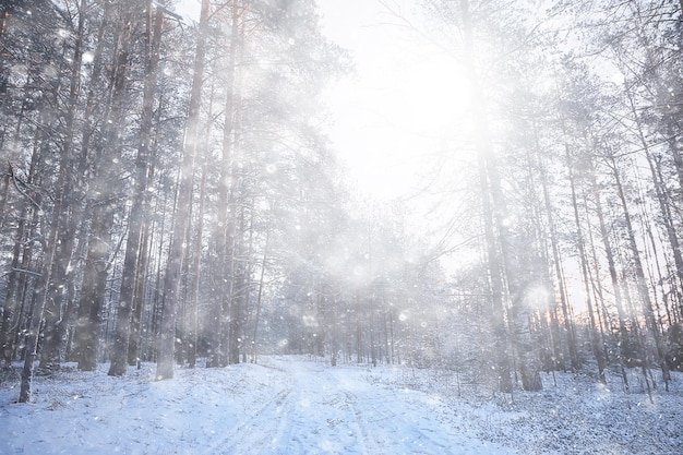 Schneesturm im Waldhintergrund, abstrakte unscharfe Hintergrundschneeflocken, die im Winterwald auf die Landschaft fallen