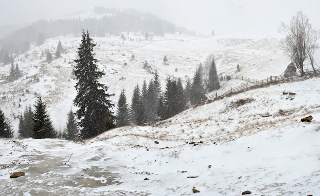 Foto schneesturm in den bergen.