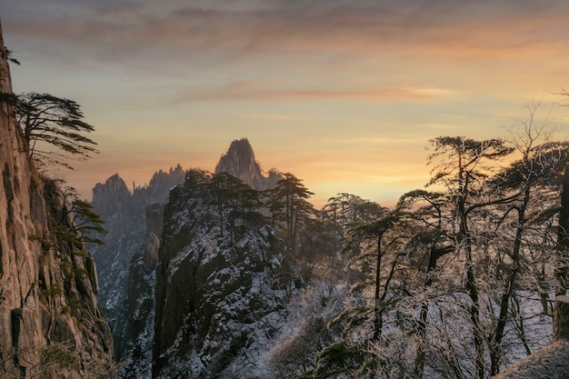 Schneeszene auf dem Berg Huangshan, Kiefer, die bei Sonnenaufgang mit Schnee bedeckt ist, China