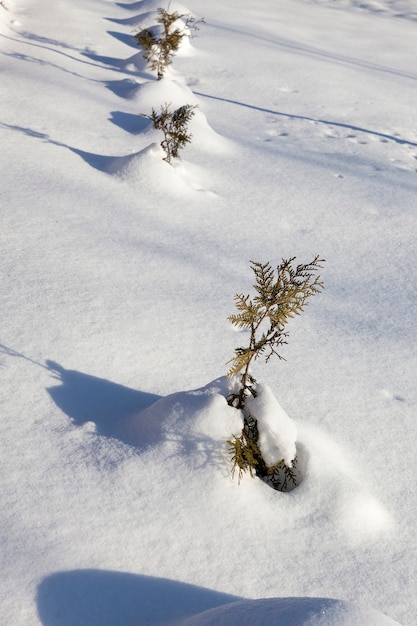 Schneeverwehungen nach Schneefall im Winter