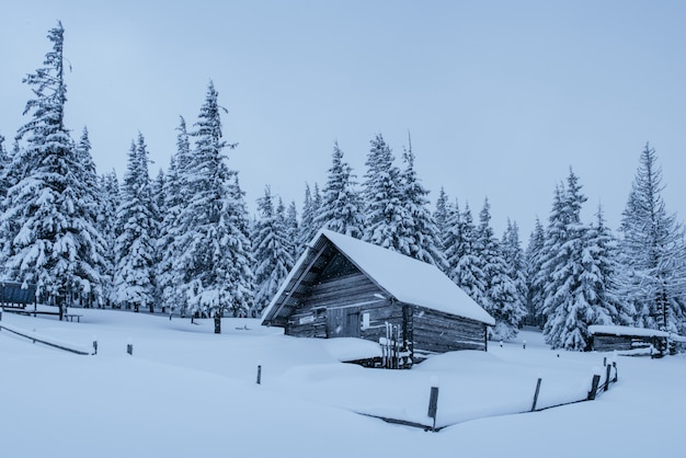Schneewald in den Karpaten. Ein kleines gemütliches Holzhaus mit Schnee bedeckt. Das Konzept von Frieden und Wintererholung in den Bergen. Frohes neues Jahr