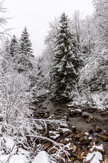 Schneewetter in den Bergen