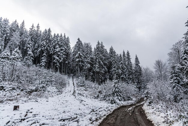 Schneewetter in den Bergen