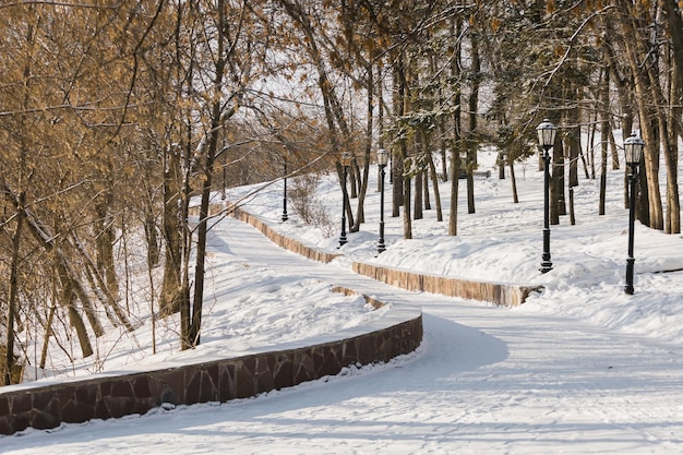 Schneewetter öffentlicher Park in der Stadt Schneewetter Wanderweg und Frostbäume Kalte Jahreszeit