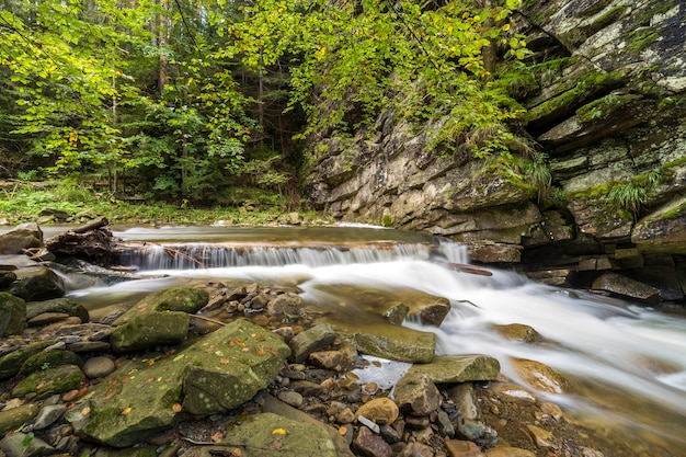 Schnell fließender flussstrom mit glattem seidigem wasser, das von großen steinen in schönen wasserfällen an hellem sonnigem sommertag fällt.