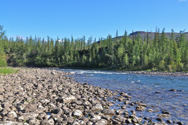 Schneller Fluss auf der Putorana-Hochebene