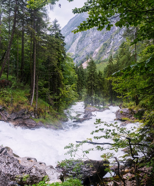 Schneller Fluss im Wald