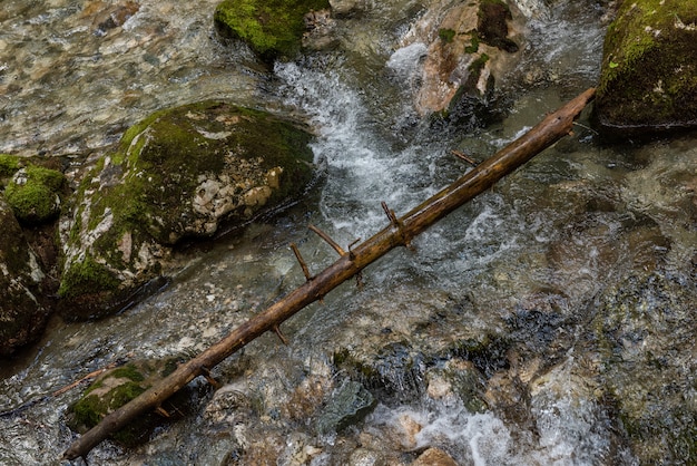 Schneller Fluss nahe Wald in Bucegi-Bergen, Rumänien