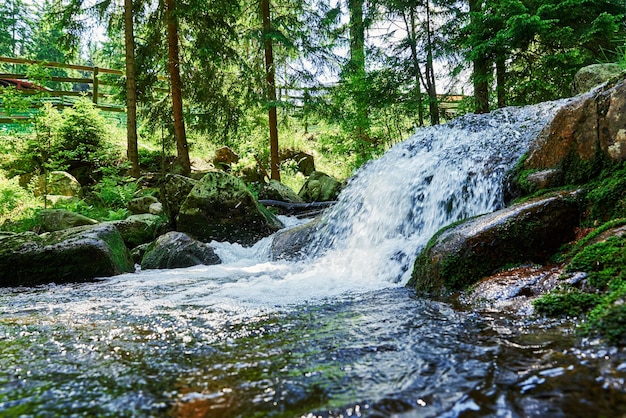 Schneller Gebirgsfluss mit Kaskaden in Karpacz Polen