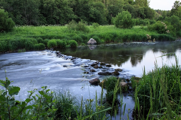 Schneller Waldfluss. Abendsommerlandschaft