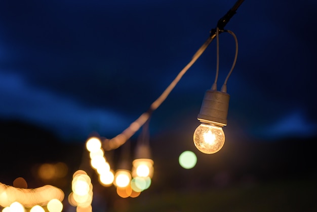 Schnur verdrahtete die Glühlampen, die von einem Baum im Dämmerungsabend mit bewölktem Hintergrund hängen