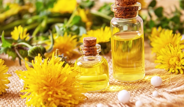 Schöllkraut-Löwenzahn-Extrakt in einer kleinen Flasche, Behandlung, Medizin, Tinktur. selektiver Fokus.Natur