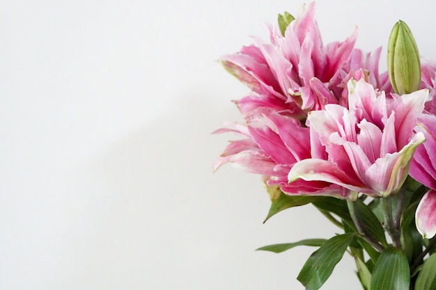 Schön ein Strauß rosa Lilien oder Lilienblume auf weißem Hintergrund