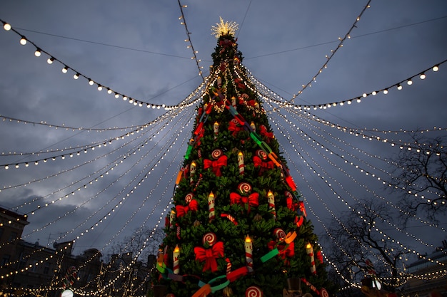 Schön geschmückter Weihnachtsbaum in der Stadt