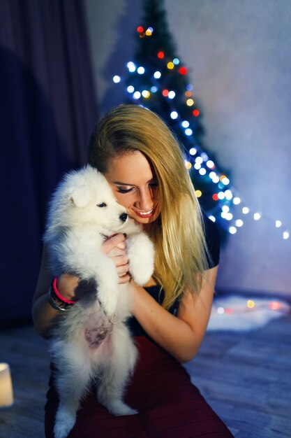 Schön mit Samojede-Husky-Hund in Weihnachtsdekoration