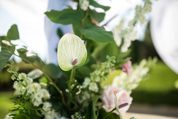 Schöne abgehende Hochzeitseinrichtung. Jüdisches Hupa auf der romantischen Hochzeitszeremonie, heiratender Rasen im Freien. Hochzeitsdekor. Eine rosa Geschenkschachtel in Herzform ist ein Tisch.