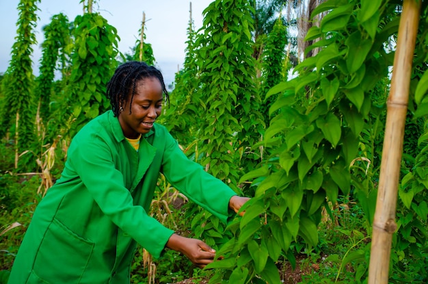 Schöne afrikanische Bäuerin, die sich über ihre landwirtschaftlichen Produkte freut