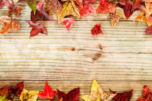 Schöne Ahornblätter auf Vintage Holz Hintergrund, Grenze Design. Vintage Farbton - Konzept der Herbst Blätter im Herbst Saison Hintergrund